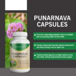 Punarnava Capsules - Image 2