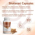 Shatavari Capsules - Image 2