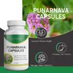 Punarnava Capsules - Image 3