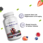 Mix Multi Berry - Image 4